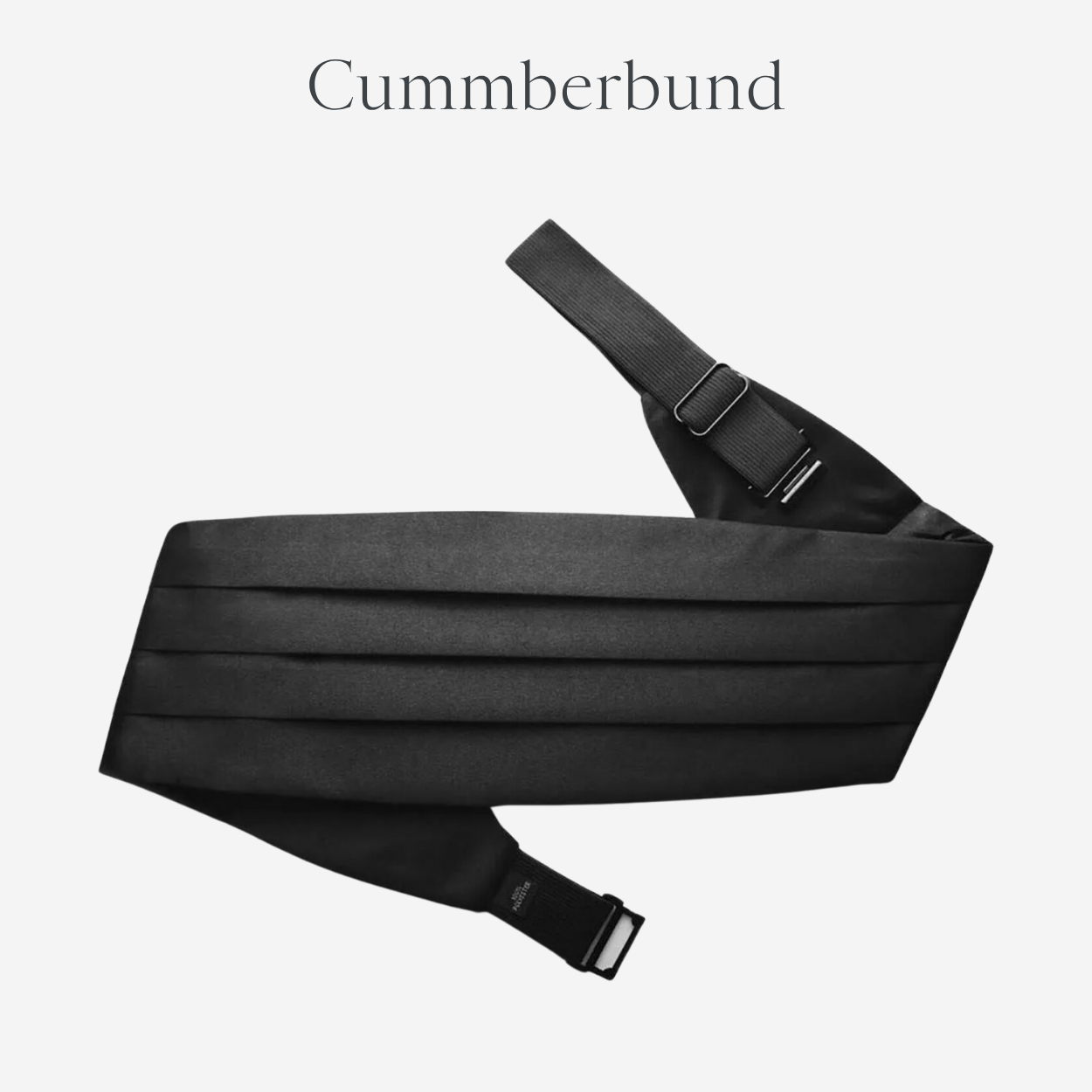 Cummerbund